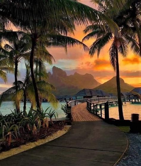 Beautiful sunset in Bora Bora, French Polynesia. Photo Meeta Paul Trip To Bora Bora, Bora Bora Island, Bora Bora Honeymoon, Bora Bora French Polynesia, Nature Adventure, French Polynesia, Bora Bora, Tahiti, Travel Aesthetic