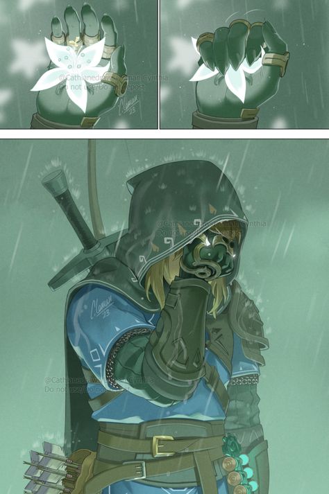 Link Zelda Art, Legend Of Zelda Characters, Botw Zelda, Legend Of Zelda Memes, Zelda Funny, Zelda Tears Of The Kingdom, Tears Of The Kingdom, Link Zelda, Zelda Art