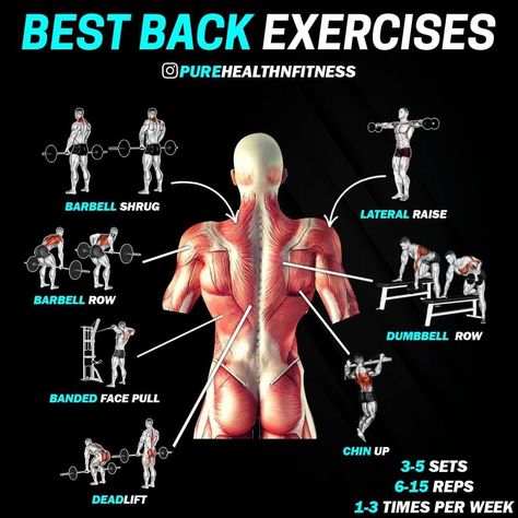 🏆Gym Fitness & Lifestyle🏆 on Instagram: “💥Best Back Exercises💥 __ 💪Tag someone trying to build a bigger back! __ If you’re wanting to build a big, strong back check out these…” Best Back Exercises, Deadlift Squat, Barbell Press, Back Exercise, Dumbbell Shoulder, Fitness Studio Training, Dumbbell Shoulder Press, Good Back Workouts, Gym Antrenmanları