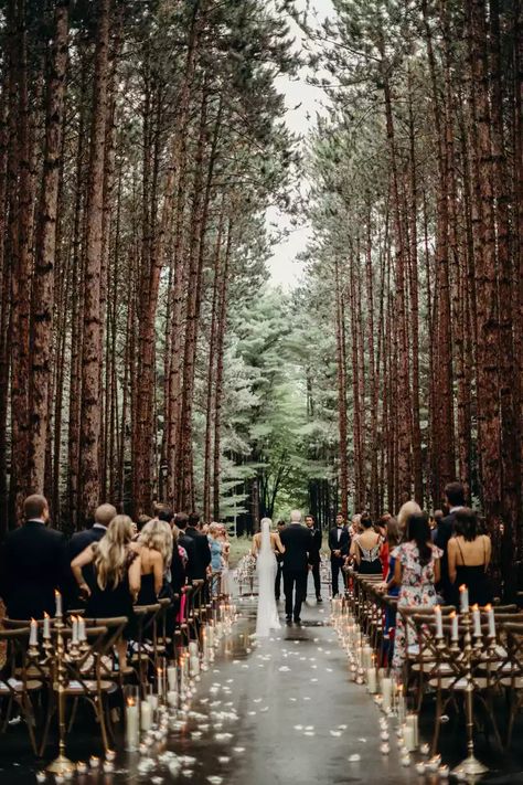 39 Décor Ideas for a Dreamy Forest Wedding Wedding Aisles, Forest Wedding Venue, Twilight Wedding, Woods Wedding, Welding Ideas, Torch Lake, Forest Theme Wedding, Enchanted Forest Wedding, Weddings By Color