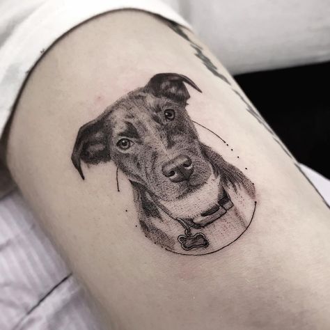 Micro dog portrait tattoo. Black and grey, detailed, single needle / fineline, microrealism tattoo. Micro Dog Portrait Tattoo, Dope Female Tattoos, Pet Portrait Tattoos, Pet Tattoo Ideas, Dog Portrait Tattoo, Small Dog Tattoos, Pet Tattoos, Bone Tattoo, Finger Tattoo For Women