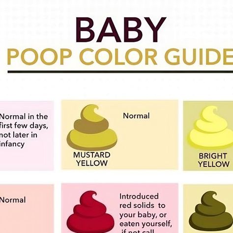 Pregnancy Guide on Instagram: "Poop color can be one way to learn about your baby’s health. Your little one will go through a variety of poop colors, especially during the first year of life, as their diet changes.

It’s important to understand that what’s typical for adult poop doesn’t necessarily apply to baby poop. This includes color and texture.

These are the most common poop colors you may see and why." Baby Poop Color, Baby Poop Guide, Breastfed Baby Poop, Baby Poop, Constipated Baby, Formula Fed Babies, 2 Month Baby, Diet Changes, Baby Pop