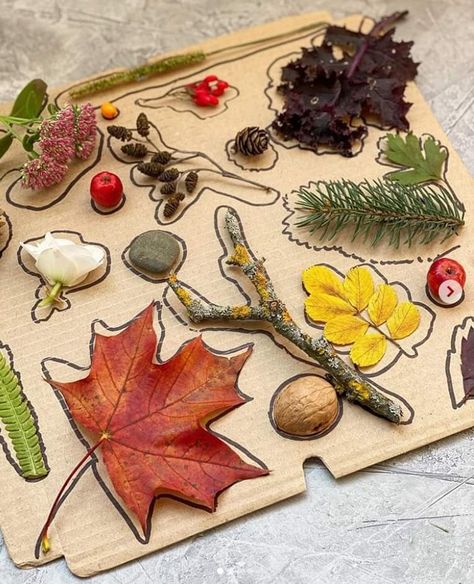 Nature Kindergarten Activities, Forest School Ideas Preschool, Autumn Kindergarten Activities, Autumn Kindergarten, Forest School Ideas, Forest School Activities, Montessori Diy, Eyfs Activities, Nursery Activities