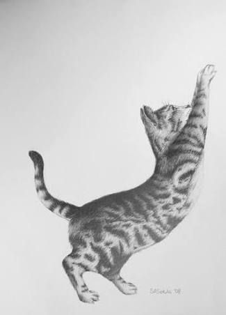 Drawing of cat stretching Respect Tattoo, Chocolate Drawing, Chocolate Sculpture, Chocolate Sculptures, Cat Stretching, Sushi Art, Cat Motif, Cat Tattoo Designs, Family Painting