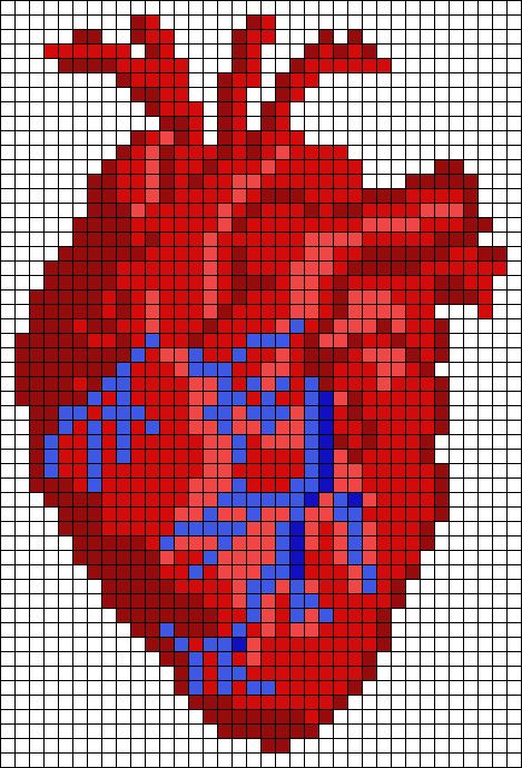 Crochet Human Anatomy, Heart Pixel Grid, Crochet Anatomical Heart, Anatomical Heart Cross Stitch, Alpha Grid, Pixel Grid Crochet, Alpha Patterns Crochet, Crochet Alpha Pattern, Pixel Art Heart