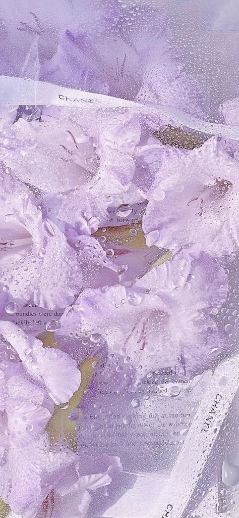 Theme Rp Soft Purple, Flor Iphone Wallpaper, Light Purple Wallpaper, Purple Aesthetic Background, Violet Aesthetic, Purple Flowers Wallpaper, Purple Vibe, Lavender Aesthetic, Purple Themes