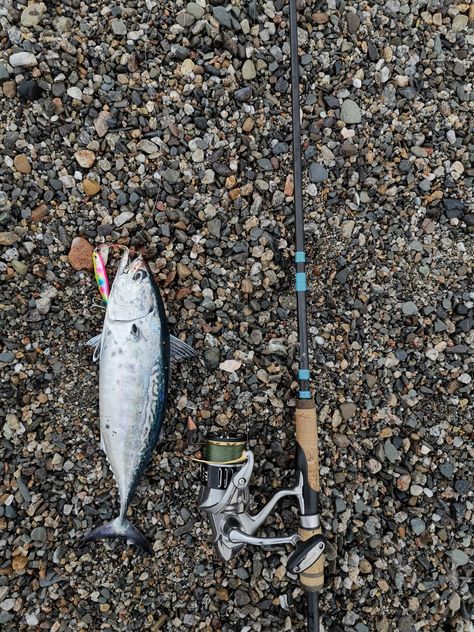 TONNETTI da riva ALLETTERATI a spinning pesca dalla spiaggia > Clipangler - Spinning Pesca Mare Pesca In Mare, Shimano Reels, Saltwater Fishing, Instagram Feed, Spinning, Fish