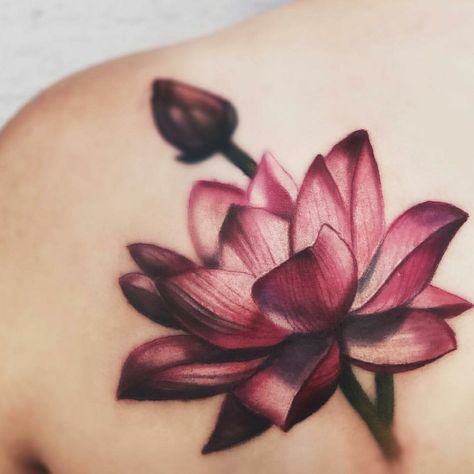 Colorful lotus tattoo done at High Voltage Tattoo Tattoo Buddhist, Wildflowers Tattoo, Lotusblume Tattoo, Plant Tattoos, Lotus Flower Tattoo Design, Lotus Tattoo Design, Tattoo Trend, Shape Tattoo, Red Lotus