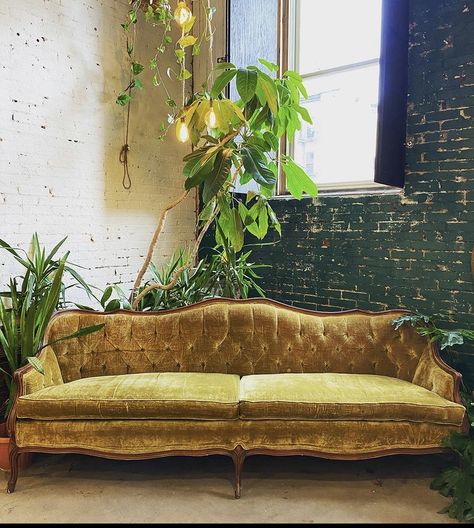 Gold Velvet Couch Living Room, Yellow Velvet Couch Living Room, Velvet Couch Aesthetic, Golden Couch Living Rooms, Vintage Couches Living Room, Couches Vintage, Vintage Couch Aesthetic, Gold Sofa Living Room Ideas, Gold Couch Living Room Ideas