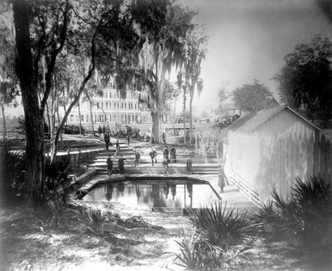 Tourists beside the bathing pool at the Clarendon Hotel. Green Cove Springs, Florida. 1886. Fence. Walkway. State Archives of Florida, Florida Memory The Bathing Pool, Green Cove Springs Florida, Florida Artwork, Florida History, Florida Pictures, Clay County, Florida Springs, Springs Florida, Florida Room