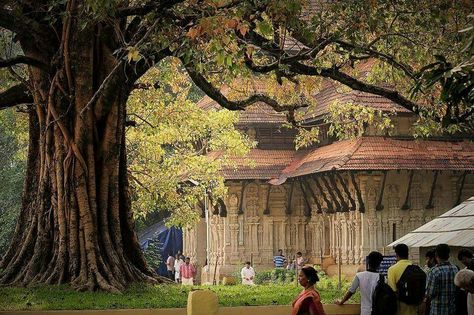 arunz photo. #thrissur #vadakumnadan #temple #pooram #peace #love Thrissur Pooram Photography, Kerala Wallpaper, Pooram Kerala, Thrissur Pooram, Kerala Traditional House, Kerala Travel, Indian Temple Architecture, Temple Photography, Amazing India