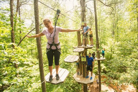 Go Ape Freedom Park in Virginia offers a thrilling experience for adventurers of all ages. Zipline Adventure, Go Ape, Ropes Course, Forest Canopy, Team Building Events, Outdoor Concert, Nature Preserve, Adventure Park, Raleigh Nc