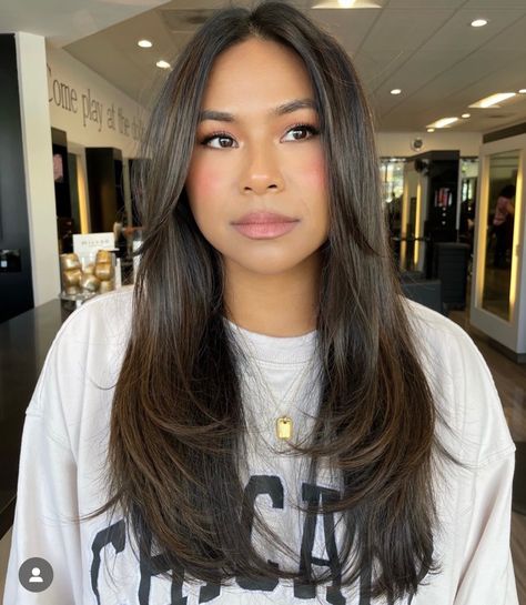 Layered Haircuts Straight Hair, Face Framing Hair, Brown Hair Looks, Brown Hair Inspo, Hair Inspiration Long, Layered Haircuts For Medium Hair, Hairstyles For Layered Hair, Blowout Hair, Long Brown Hair