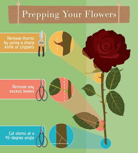 It's key to prep flowers before starting any flower arrangement. Floristry Techniques, Flower Arranging Tutorial, Arrange Flowers, Flower Business, Flower Arrangements Simple, Floral Arrangements Diy, Flower Arrangements Diy, Fresh Flowers Arrangements, Flower Food