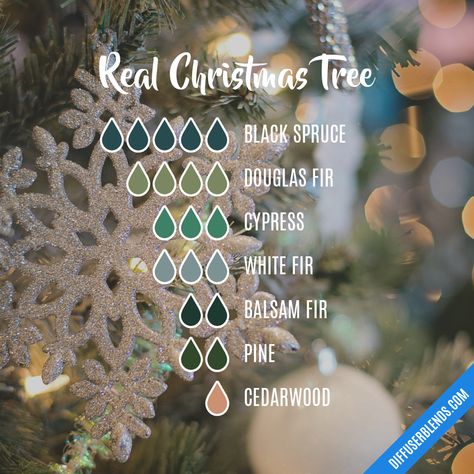 Christmas Tree Oil Diffuser Blends, Christmas Tree Diffuser Blend, Christmas Tree Essential Oil Blend, Christmas Tree Essential Oil, Diffuser Scents, Christmas Diffuser Blends, Candle Blends, Scent Blends, White Fir