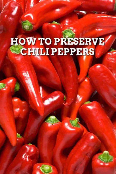 How To Use Chili Peppers, Fresh Chili Pepper Recipes, How To Preserve Fresh Chillies, Thai Hot Pepper Recipes, What To Do With Chili Peppers, Recipes With Chili Peppers, Preserving Chillies, Preserve Chillies, Chili Peppers Recipes