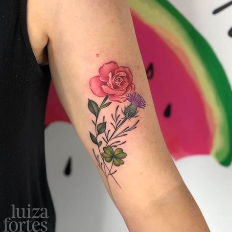 Oct 09, 2019 @ 11:02 ⋆ Watermelon🍉Tattoo Rose Thistle Shamrock Tattoo, Shamrock And Rose Tattoo, Rose And Thistle Tattoo, Irish Rose Tattoo, Ancestry Tattoo, Thistle Rose Tattoo, Watermelon Tattoo, Shamrock Tattoo, Thistle Tattoo