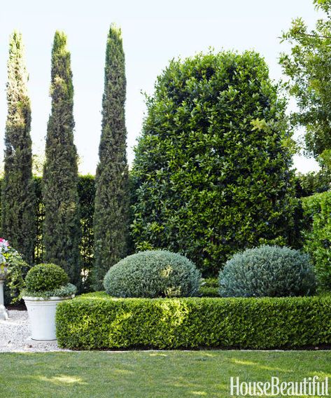 Bushes and blooms immediately improve any outdoor space. At this Corona del Mar house, landscape designer Margaret Carole McElwee created a garden lush with boxwood hedges, lavender, ficus, and cypress. Garden Hedges, Evergreen Garden, Modern Landscape Design, Classic Garden, Have Inspiration, Formal Gardens, Landscape Plans, Garden Landscape Design, House Landscape