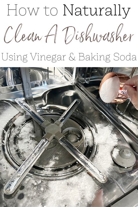 Learn how to clean a dishwasher. This tutorial walks you through how to clean a dishwasher filter and how to deep clean the inside of a dishwasher using vinegar and baking soda. Vinegar In Dishwasher, Clean A Dishwasher, Clean Your Dishwasher, Dishwasher Filter, Vinegar And Baking Soda, Lavender Laundry, Cleaning Your Dishwasher, Dishwasher Cleaner, Deep Cleaning Hacks