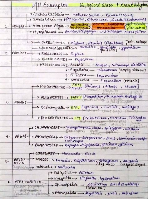 Class 10 Biology Notes Chapter 1, One Page Notes For Neet Biology, Abc Of Biology, Bio Neet Notes, Neet 2024 Tips, Plant Kingdom Notes Neet, Living World Class 11 Notes Neet, Plant Kingdom Mind Map, Biological Classification Short Notes