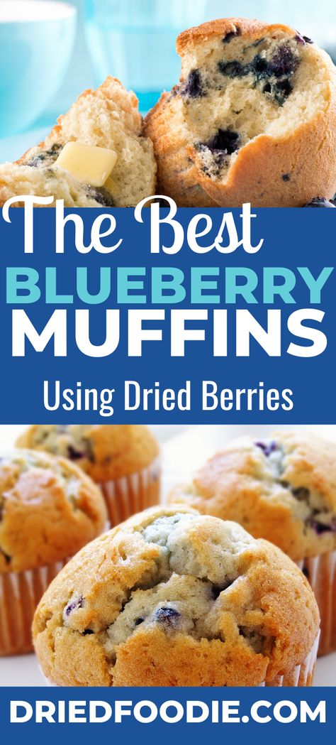 This blueberry muffin recipe uses dehydrated berries and mostly pantry staples. Perfect for muffin mix in a jar - just add milk and butter! Muffins With Dried Blueberries, Dry Blueberries Recipes, Blueberry Muffins In A Jar, Blueberry Muffins Dried Blueberries, Dried Blueberries How To Use, Blueberry Muffins With Dried Blueberries, Freeze Dried Blueberry Muffins, Freeze Dried Blueberry Recipes, Freeze Dried Blueberries Recipe