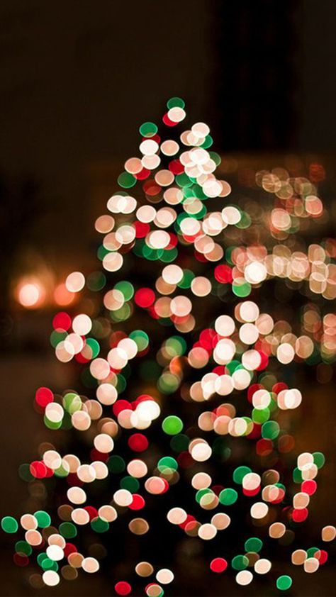 Christmas Wallpapers Tumblr, Christmas Dear, Christmas Tree Photography, Christmas Lights Background, Christmas Tree Wallpaper, Christmas Tree Background, Christmas Wallpaper Backgrounds, Xmas Lights, Christmas Feeling