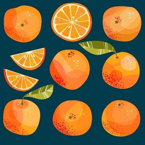 Citrus Graphic Design, Orange Illustration Fruit, Orange Illustration Graphics, Citrus Mural, Citrus Drawing, Oranges Illustration, Orange Fruit Art, Citrus Illustration, Oranges Art