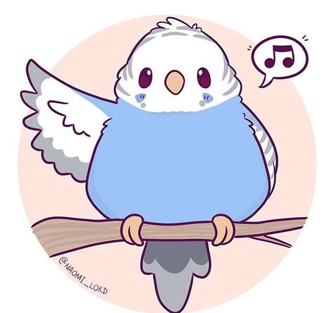 Parrot fid sing song Cute Bird Drawing, Bird Doodle, Bird Drawing, Cute Kawaii Animals, Stickers Kawaii, Cute Bird, Cute Animal Drawings Kawaii, Doodle Illustration, Cute Kawaii Drawings