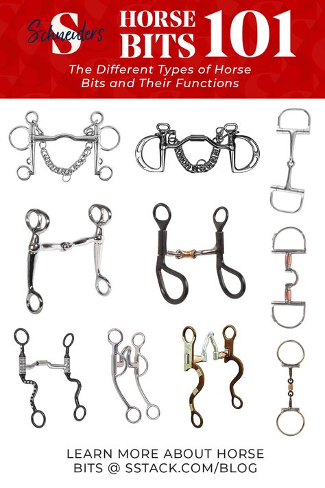 Types Of Horse Bits Western, Types Of Horse Bits, Types Of Bits For Horses, Western Bits For Horses, Horse Bits Types Of, Horse Judging, Bits For Horses, Horse Education, Horses Stuff