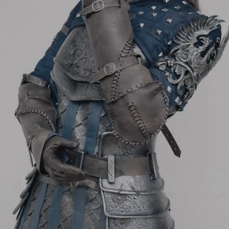 Medieval Fighter Aesthetic, Kris Dreemurr Aesthetic, Knight Core Aesthetic, Dnd Fighter Aesthetic, Fighter Dnd Aesthetic, Lady Knight Aesthetic, Dnd Costume, Deltarune Aesthetic, Wilson Aesthetic