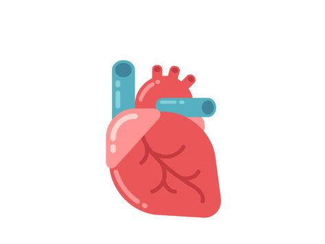 Heart by Irina Mir Animated Anatomy, Human Heart Anatomy, Heart Organ, Vector Animation, Animated Heart, Foto Top, Heart Anatomy, Cartoon Heart, Heart Gif