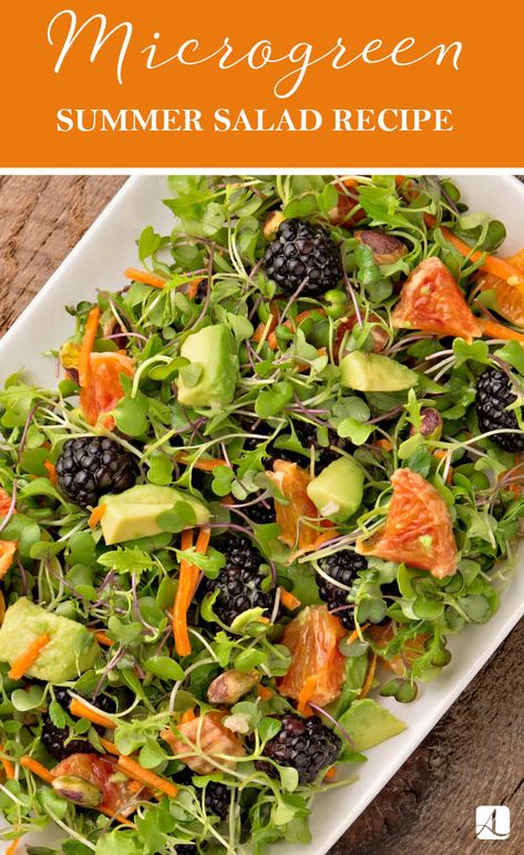 Fresh Eating with Microgreens - American Lifestyle Magazine Microgreens Salad, Microgreens Recipe, Fresh Eating, Eating Fresh, Micro Greens, Vegetarian Indian, Healthy Recipes Easy Snacks, American Lifestyle, Fresh Salad