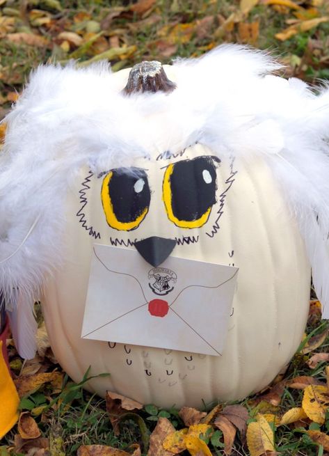 Turn your favorite book characters into Pumpkins! Hedwig Pumpkin, Pumpkin Ideas Halloween, Literary Pumpkins, Harry Potter Pumpkin Carving, Book Character Pumpkin, Storybook Pumpkin, Harry Potter Birthday Invitations, Book Character Pumpkins, Harry Potter Pumpkin