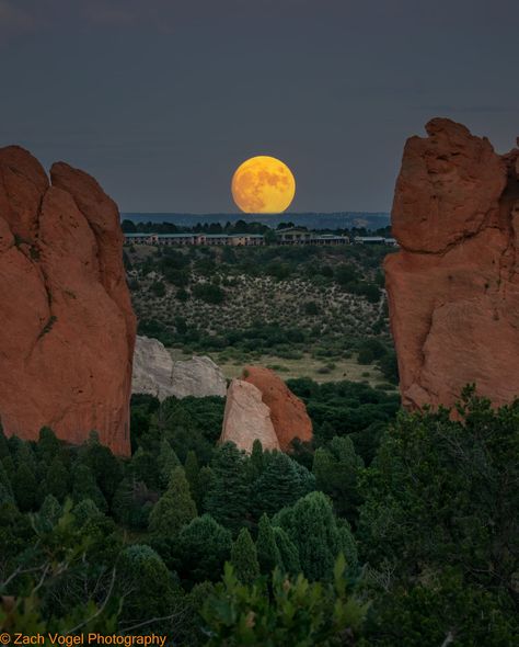 Camera Scrapbook, Southwest Aesthetic, Arizona Aesthetic, Things To Paint, Country Vibe, Night Swim, Desert Aesthetic, Arizona Photography, Garden Of The Gods