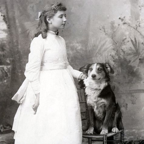 Small Black Dog, Hellen Keller, Boston Bull Terrier, Anne Sullivan, The Miracle Worker, Childhood Pictures, Dog Seat, Historical People, Asian History