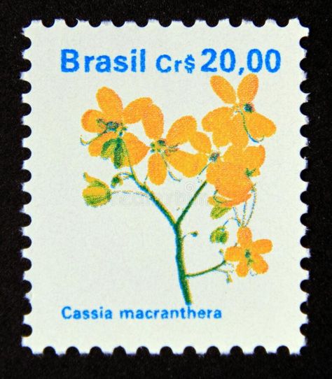 Brazil Stamp Tattoo, Brazilian Tattoo Ideas Brazil, Brazil Stamp, Flower Editorial, Small Pretty Tattoos, Stamp Printing, Post Stamp, Decorative Letters, Picture Collage