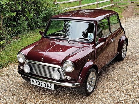 Red Mini Cooper, Early Ford Bronco, Rover Mini Cooper, Suv Range Rover, Mini Morris, American Pickup Trucks, Richard Williams, Dodge Power Wagon, Land Rover Models