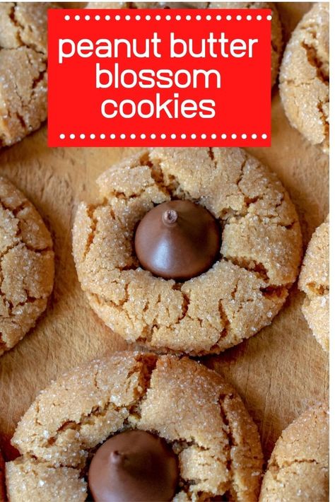 Peanut Butter Hershey Kiss Cookies, Peanut Butter Dough, Kiss Cookie Recipe, Hershey Kiss Cookies, Peanut Butter Blossom, Christmas Queen, Peanut Butter Kiss Cookies, Making Candy, Peanut Butter Blossom Cookies