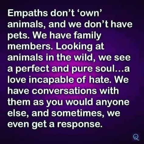 Empaths and animals 🖤 Empaths And Animals, Animal Empath, Empathic People, Empath Traits, Empath Abilities, Intuitive Empath, Parapsychology, Highly Sensitive Person, Infj Personality