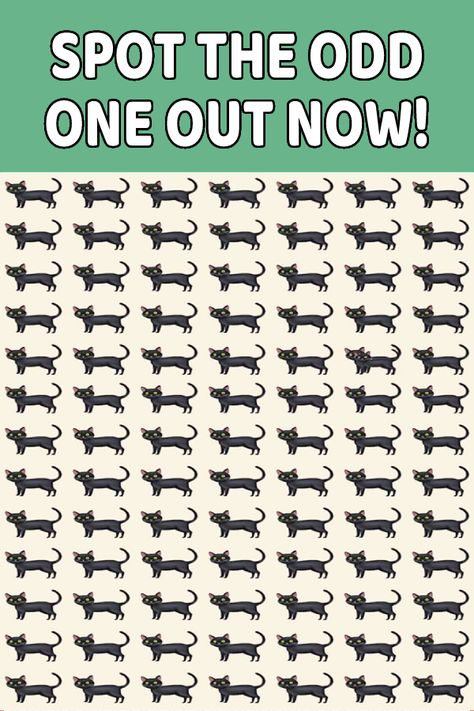 Brain Teaser: Find The Odd Cat Out In This Visual Puzzle In 5 Secs Find The Odd One Out, Visual Puzzles, Riddle Puzzles, Hidden Picture Puzzles, Santa Letter Template, The Odd Ones Out, Hidden Pictures, Picture Puzzles, Brain Teaser