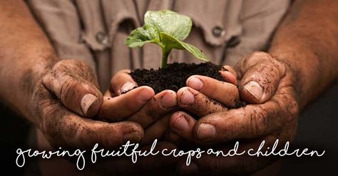 Here’s to a fruitful school year! Making A Garden, Soil Test, Horse Manure, Desert Climate, Soil Texture, Peanut Butter Jar, Texas Farm, Farmers Almanac, Hydroponic Growing