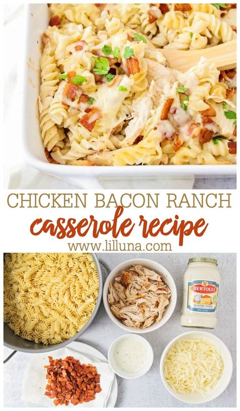 Chicken Bacon Alfredo, Bacon Ranch Casserole, Chicken Bacon Pasta, Easy Shredded Chicken, Ranch Casserole, Creamy Alfredo Sauce, Chicken Ranch Pasta, Chicken Bacon Ranch Pasta, Chicken Bacon Ranch Casserole