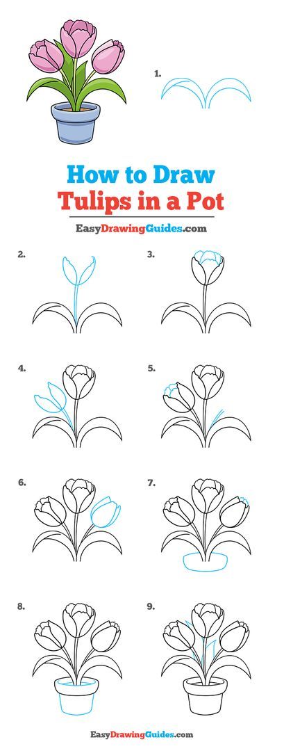 How To Draw Tulips Step By Step, Tulips In A Pot, Patio Ideas Stone, How To Draw Tulips, Stone Patio Ideas, Pot Drawing, Landscape Tutorial, Paint Stone, Tulip Drawing