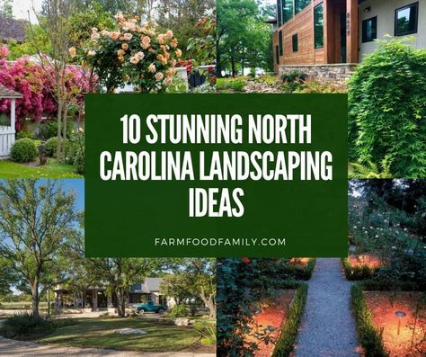 10 Stunning North Carolina Landscaping Ideas and Designs for Your Home Front Yard Landscaping Ideas Nc, Landscape Design North Carolina, South Carolina Front Yard Landscaping, Front Yard Landscaping South Carolina, Nc Backyard Landscaping, Half Acre Landscaping Ideas, North Carolina Gardens Backyards, North Carolina Landscaping Ideas, North Carolina Landscaping Front Yard