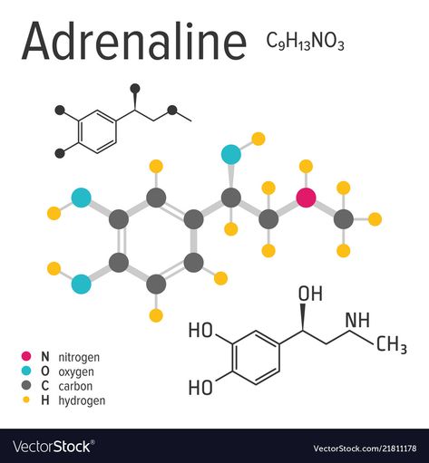 Chemical Structure Tattoo, Adrenaline Molecule, Chemistry Tattoo, Molecule Art, Biochemistry Notes, Structural Formula, Structural Model, Chemistry Art, Molecule Tattoo