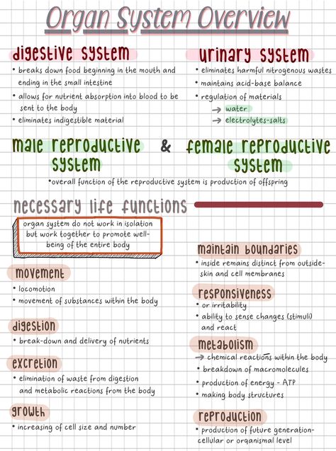 Nursing Notes Anatomy And Physiology, Anatomical Terminology Notes, Ways To Study Anatomy And Physiology, Reproductive System Nursing Notes, Organ Systems Notes, Anatomy And Physiology Notes Chapter 1, Anatomy And Physiology Notes Study Nursing Schools, Intro To Anatomy And Physiology Notes, Paramedic Revision