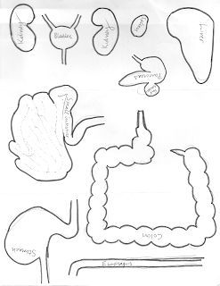 Standing At The Threshold: Felt Anatomy Set Patterns Digestive System Worksheet, Human Body Projects, Human Body Activities, Body Chart, Biology Projects, Felt Kids, Felt Board Stories, Quiet Book Patterns, Science Projects For Kids