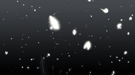 Butterflies Banner Gif, Dc Banner Aesthetic, Anime Butterfly Gif, Butterfly Gif Aesthetic, Butterfly Banner Gif, Black Gif Banner For Discord, Discord Background Gif, Black And White Discord Banner Gif, Black Banner Gif Discord