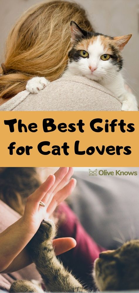 The Best Gifts for Cat Lovers | OliveKnows Cat Tips, Gifts For Cat Lovers, Cat Themed Gifts, Cat Mom Gifts, Unique Cats, Cat Person, Cat Stuff, Cat Health, Cat Care