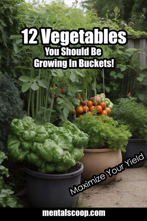 Growing Vegetables In Pots, Bucket Gardening, Gardening Projects, Container Vegetables, Vegetable Garden Diy, Sensory Garden, Growing Veggies, Garden Veggies, Garden Help